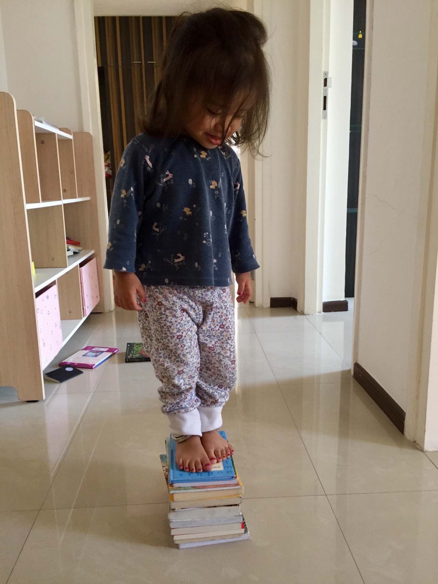 Amara on top of Books.)